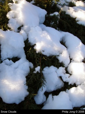 Snow Clouds